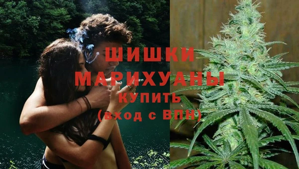 apvp Нея