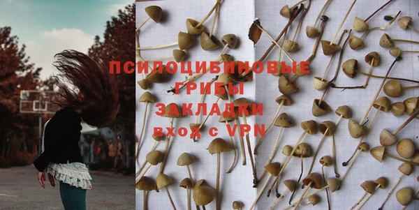 хмурый Новозыбков
